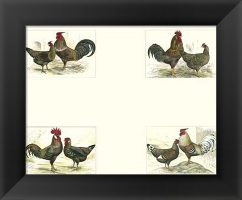 Framed Miniature Roosters Print