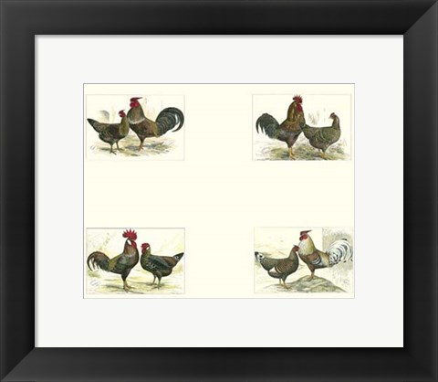 Framed Miniature Roosters Print