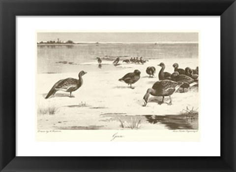 Framed Geese Print