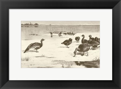 Framed Geese Print