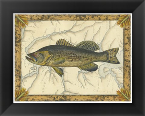 Framed Black Bass on Map Print