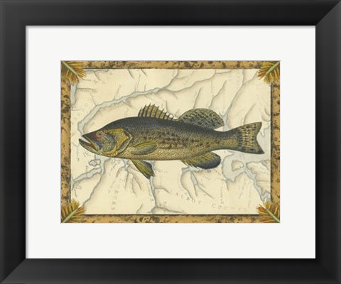 Framed Black Bass on Map Print