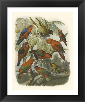 Framed Red Cassel Birds II Print