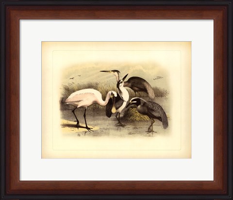 Framed Egret &amp; Heron Print