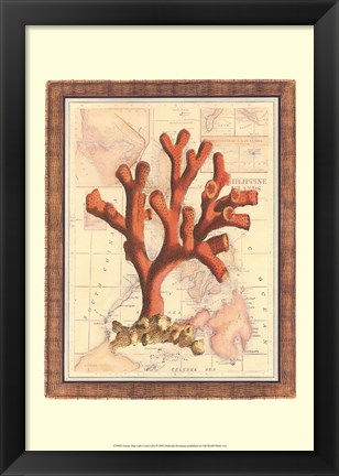 Framed Exotic Map with Coral I (D) Print