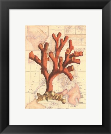 Framed Exotic Map with Coral I (D) Print