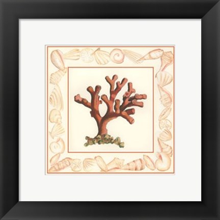 Framed Coral with Shell Border I Print