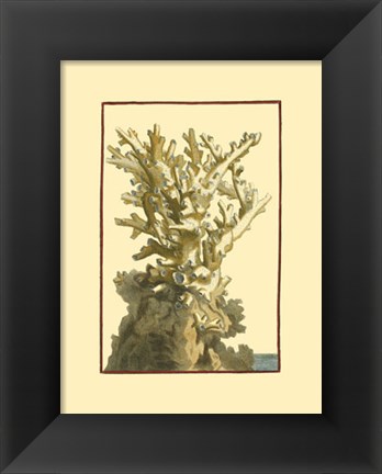 Framed Coral by the Sea I Print