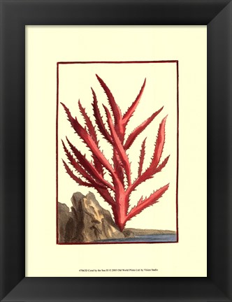 Framed Coral by the Sea III Print