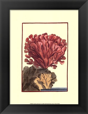 Framed Coral by the Sea IV Print