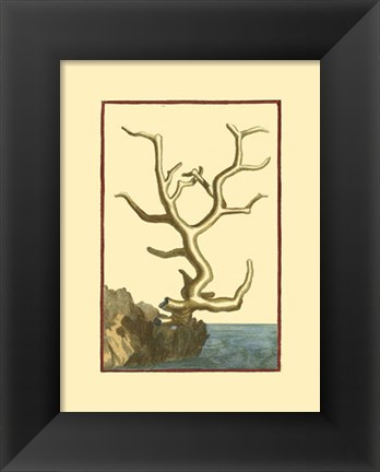 Framed Coral by the Sea VI Print