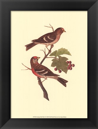 Framed Antique Bird Pair II Print