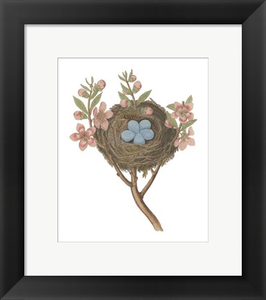 Framed Antique Bird&#39;s Nest I Print