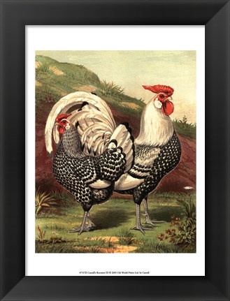 Framed Cassell&#39;s Roosters III Print