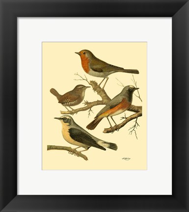 Framed Domestic Bird Family III Print