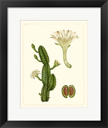 Framed Exotic Flora V Print