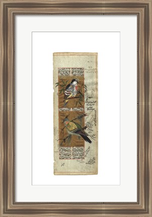 Framed Bird Pair from India I Print