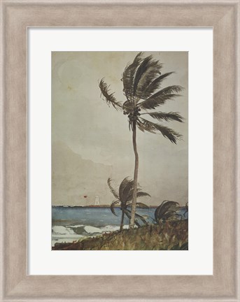 Framed Palm Tree, Nassau Print