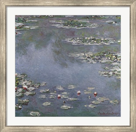 Framed Waterlilies Print