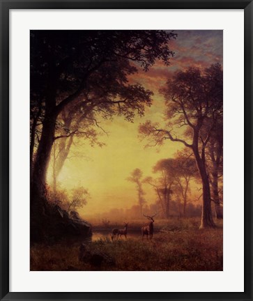 Framed Light in the Forest Print