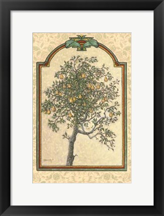 Framed Classical Pear Print