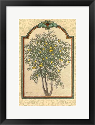 Framed Classical Lemon Print