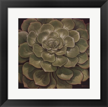 Framed Succulent I Print