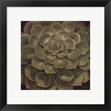 Framed Succulent I Print