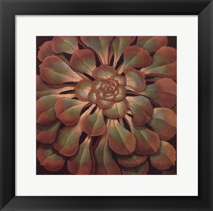 Framed Succulent II Print