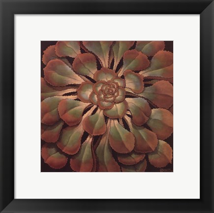 Framed Succulent II Print