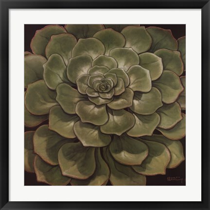 Framed Succulent I Print