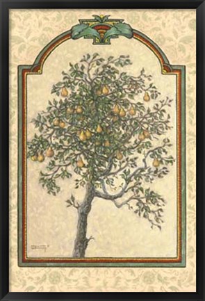 Framed Classical Pear Print