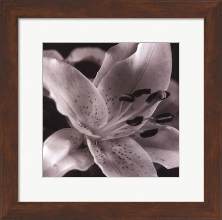 Framed Speckled Lily Print