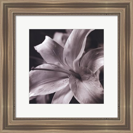 Framed Pure Lily Print