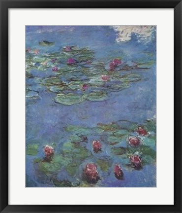 Framed Waterlilies Print