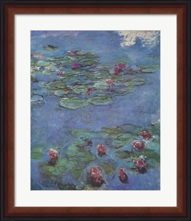 Framed Waterlilies Print