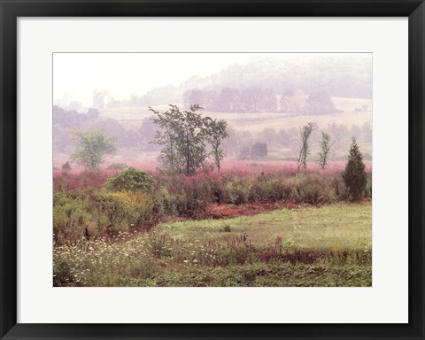 Framed Dreamscapes: Morning Meadow Print