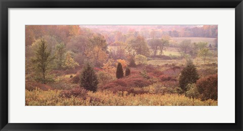 Framed Autumn Panorama Print