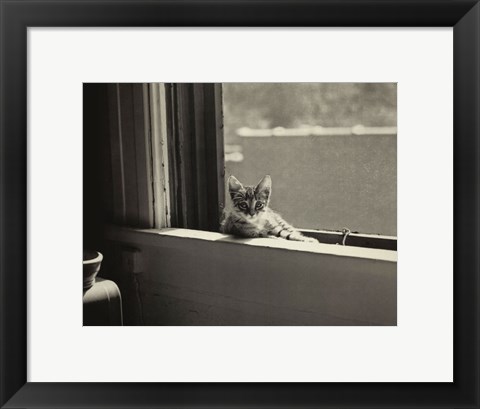 Framed Kitty in the Window Print