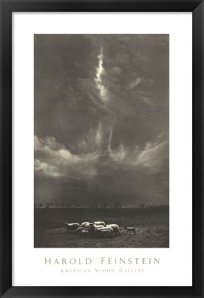 Framed Sheep Under Cloud Print