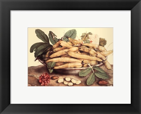 Framed Natura Morta con Ciliegie Print