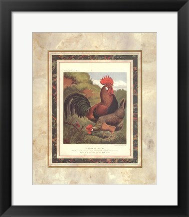 Framed Brown Leg Horn Print