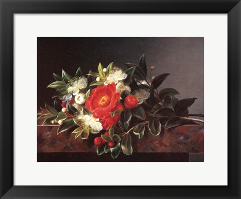 Framed Camellia&#39;s Hypericum Print