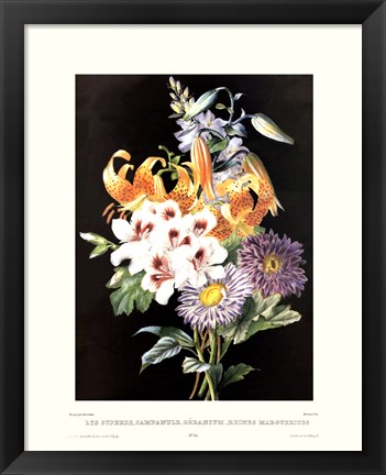 Framed Geranium Print