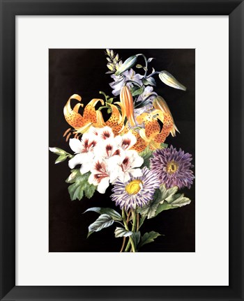 Framed Geranium Print