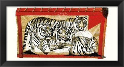 Framed Tiger Trio Print