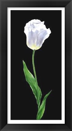 Framed Tulip Print