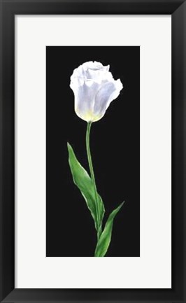 Framed Tulip Print