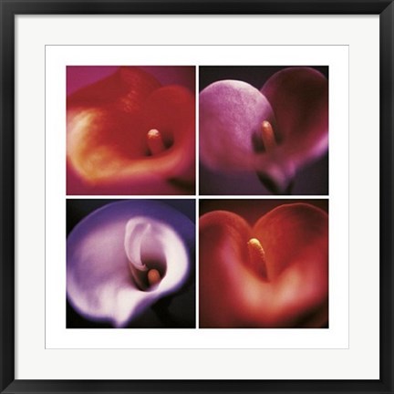 Framed Four Calla Lillies Print