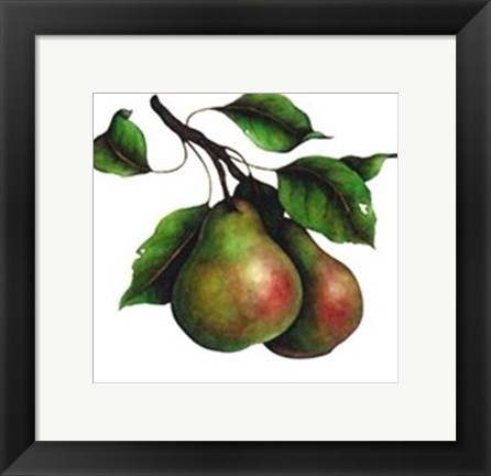 Framed Comice Pear Print